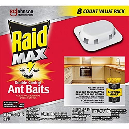 8 Best Ant Killers of 2024 - Indoor and Outdoor Ant Repellants