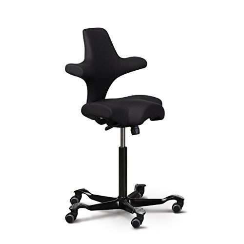 11 Best Desk Chairs Of 2024 Office Chair Reviews   1648577829 31lBMaEbL. SL500  