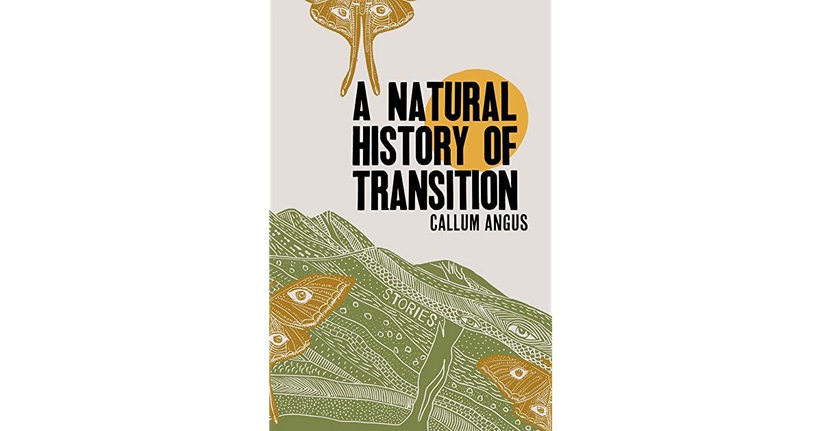 A Natural History of Transition