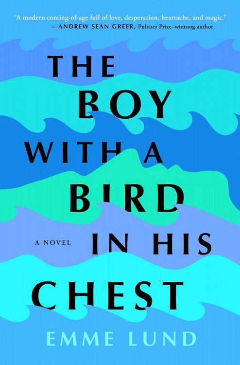 The Boy With a Bird in His Chest by Emme Lund 