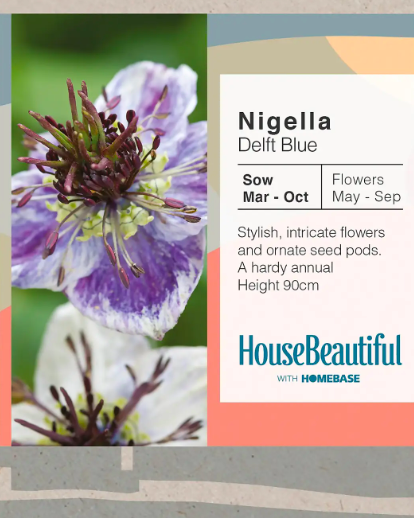 House Beautiful Nigella Delft Blue Seeds