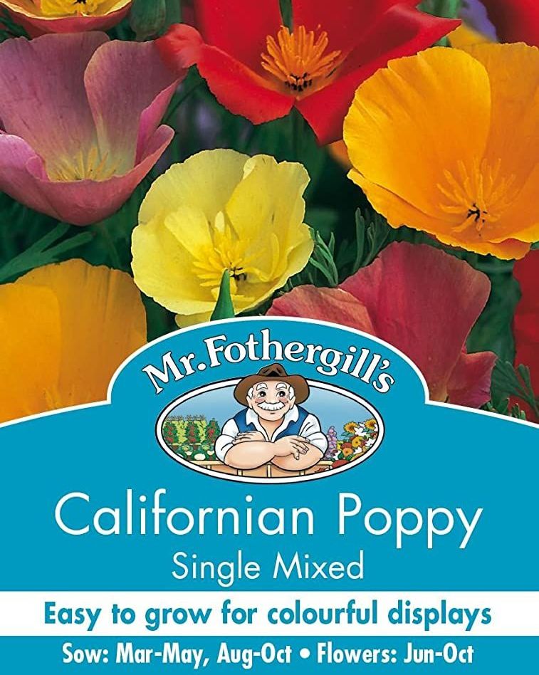 Californian Poppy Single Mixed