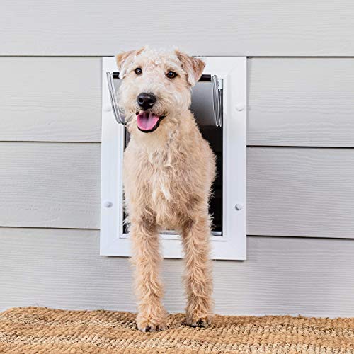 Best Dog Doors of 2023, Top-Rated Dog Doors for the Home