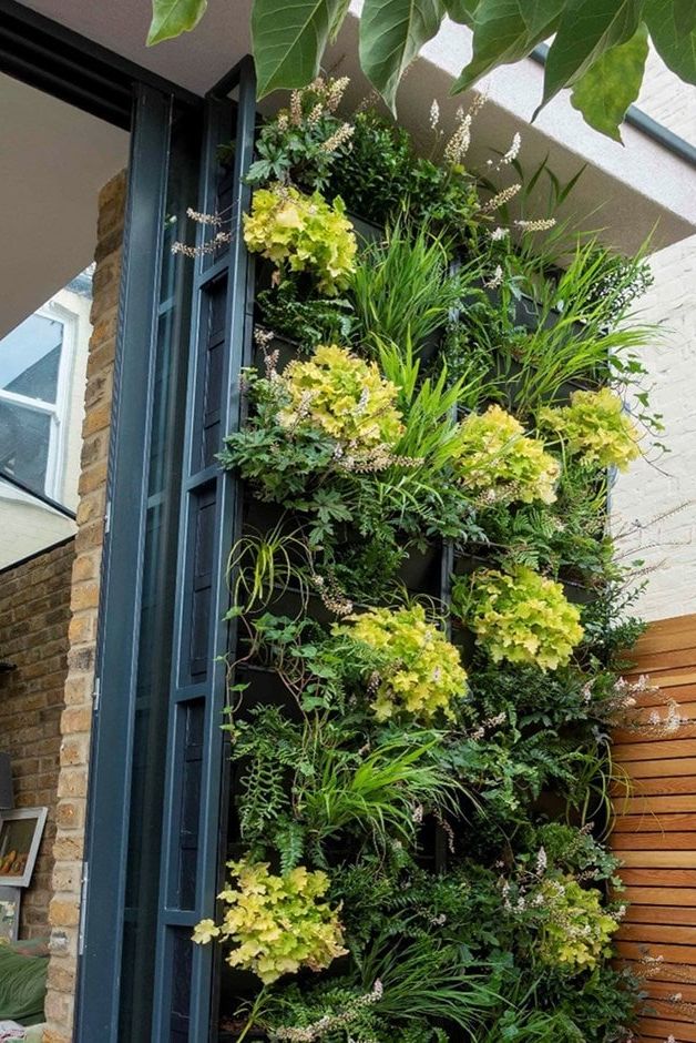 How To Create A Living Plant Wall In Your Garden