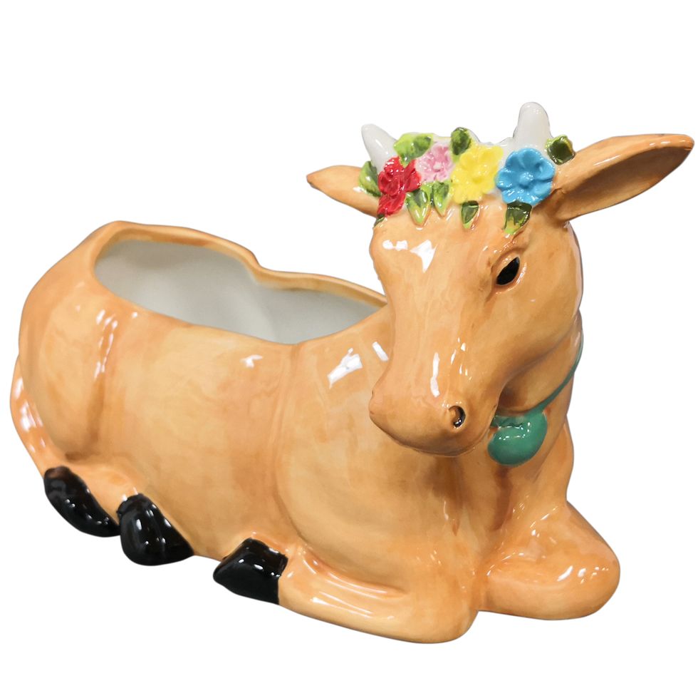 The Pioneer Woman Brown Cow 6-Inch Planter