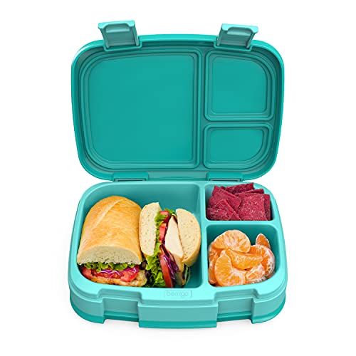 Food Storage Sandwich Containers, Great for Meal Prep. Kids or Adult Lunch Box - BPA Free and Reusable, Adult Unisex, Size: 13, Green