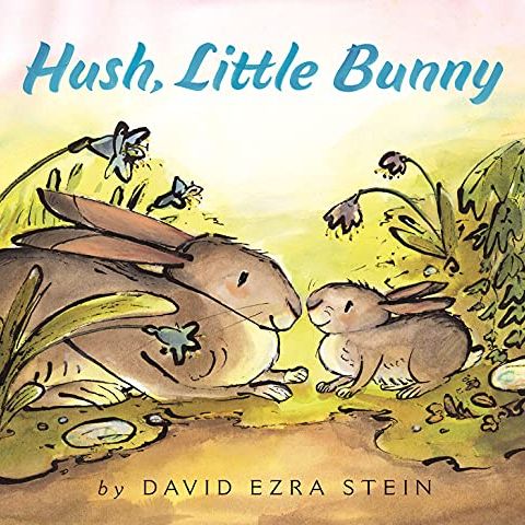 'Hush, Little Bunny Board Book'