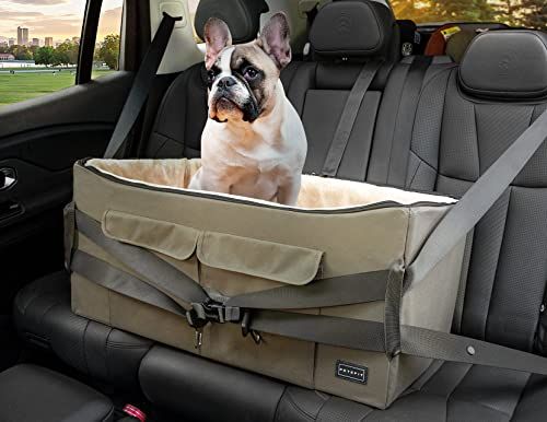 Best dog shop car seat uk