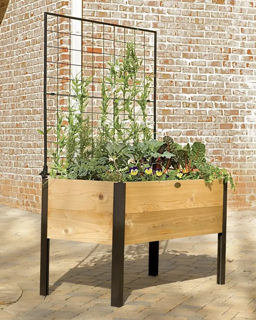 Planter Box With Trellis