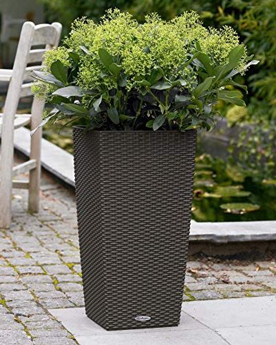 Cubico Cottage Self-Watering Planter
