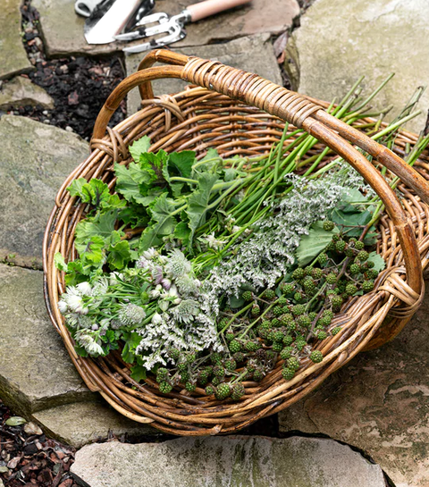 44 Best Gardening Gifts - Gift Ideas for Gardeners