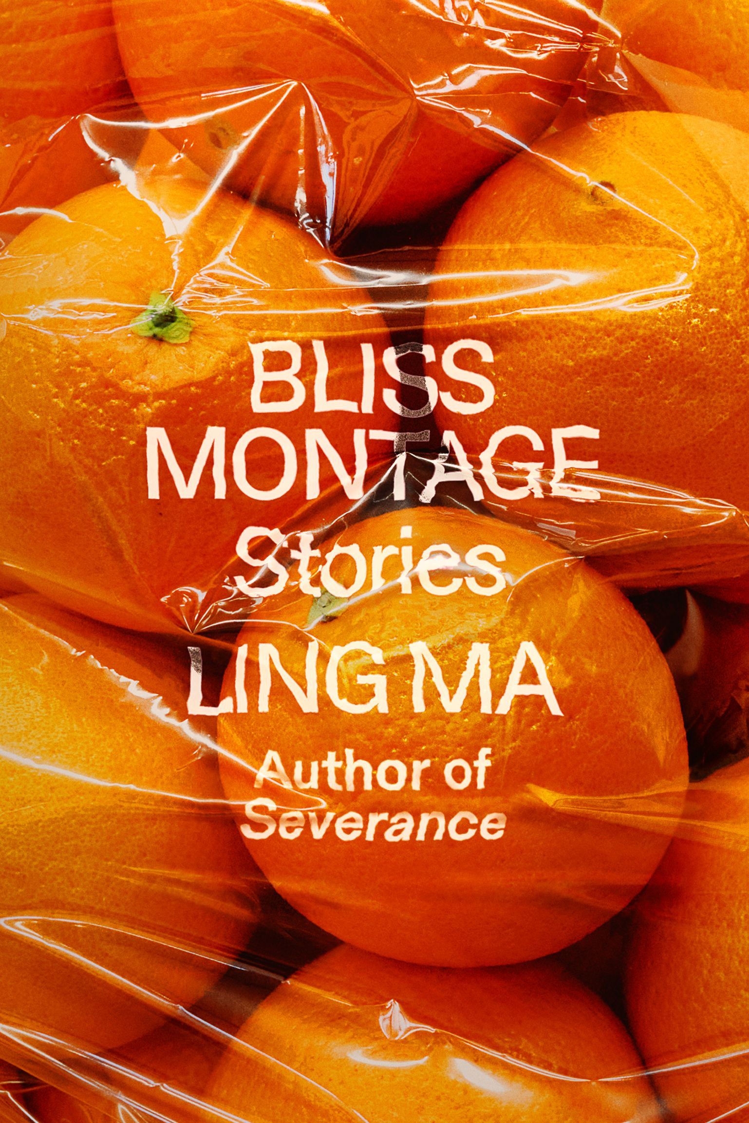 Bliss Montage: Stories