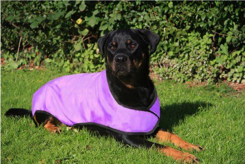 Petface Raffreddamento Cool Summer Dog Coat 50 cm