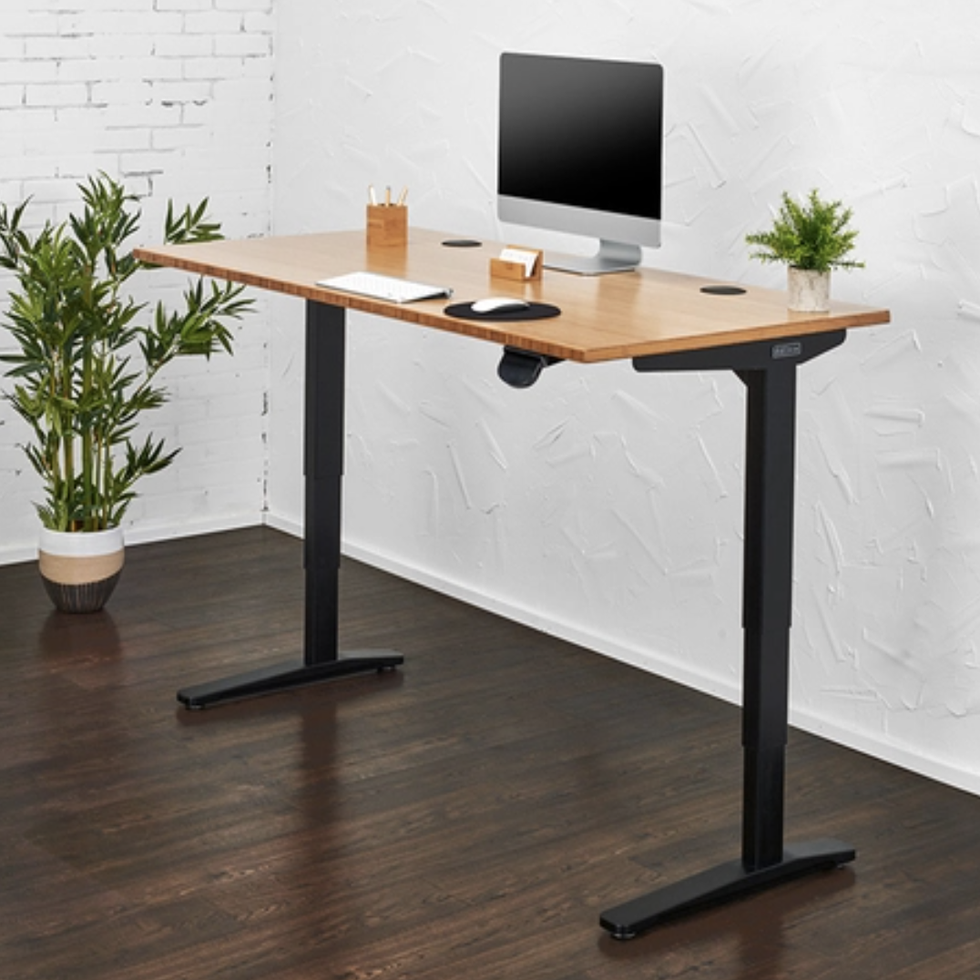 V2 Bamboo Standing Desk