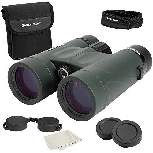 Nature DX Binoculars for Birding