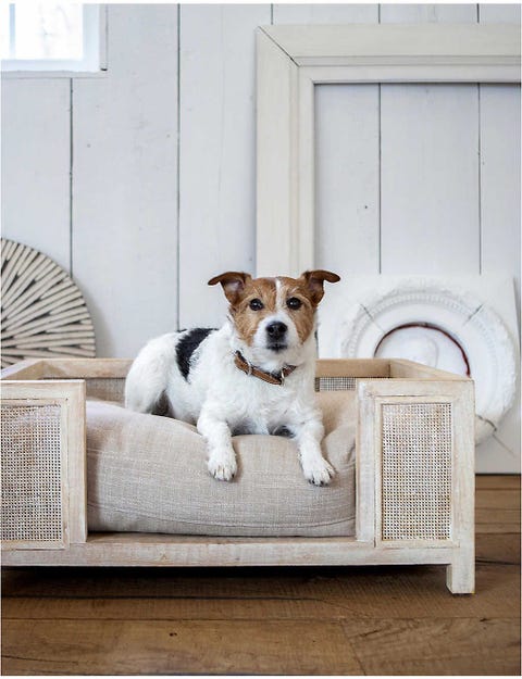 Explore Our Luxury Collection Of Dog Sofa Beds Couches Lord Lou – Lord ...