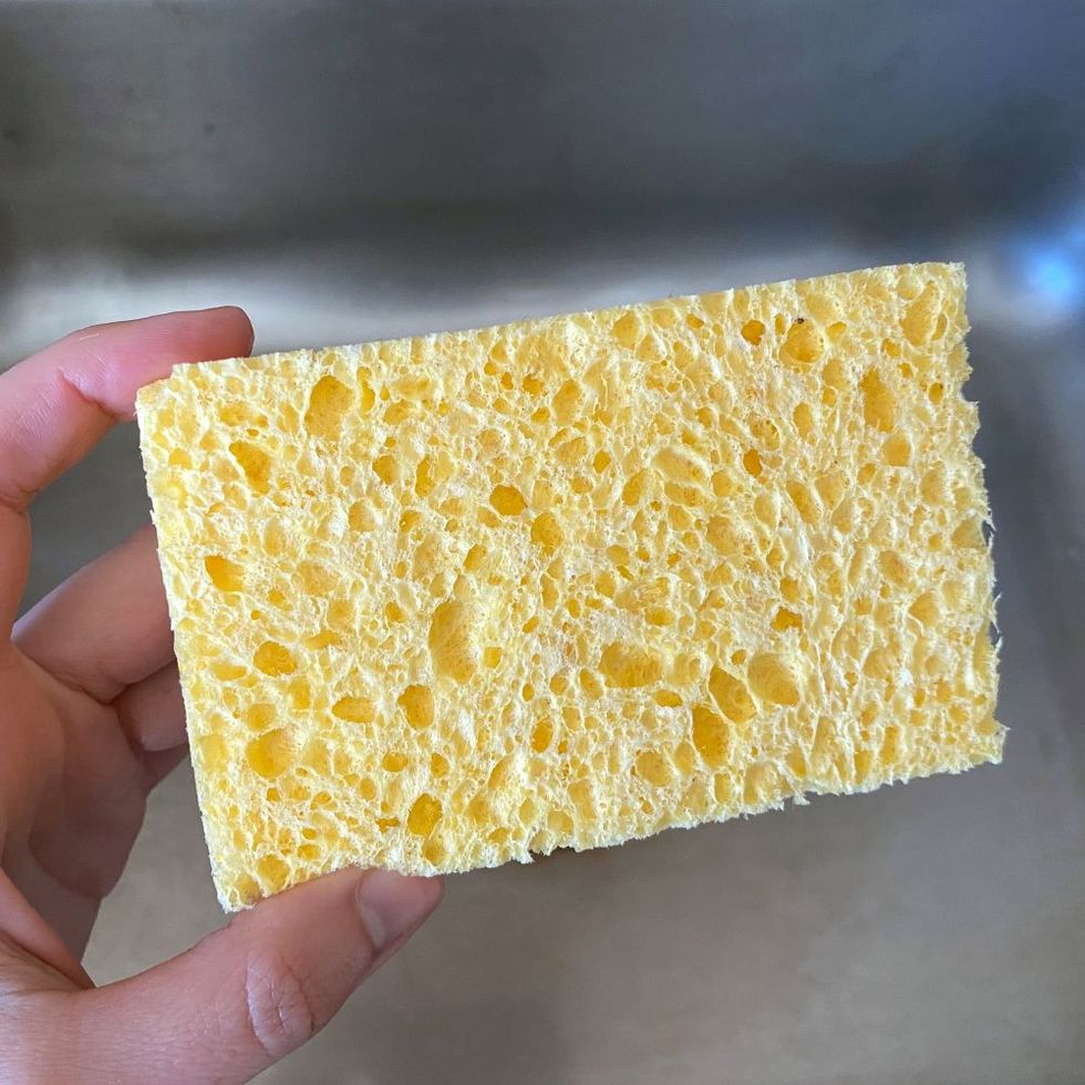 Walnut Scrubber Sponge
