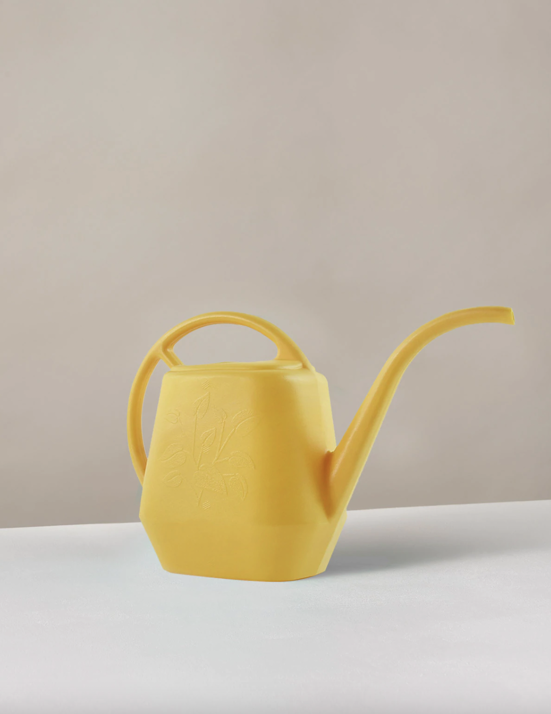 Shop Cute Watering Cans in 2023 for All Your Indoor Plants