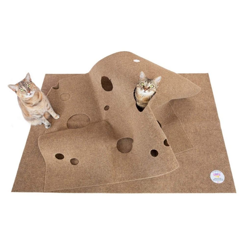 best interactive cat toys