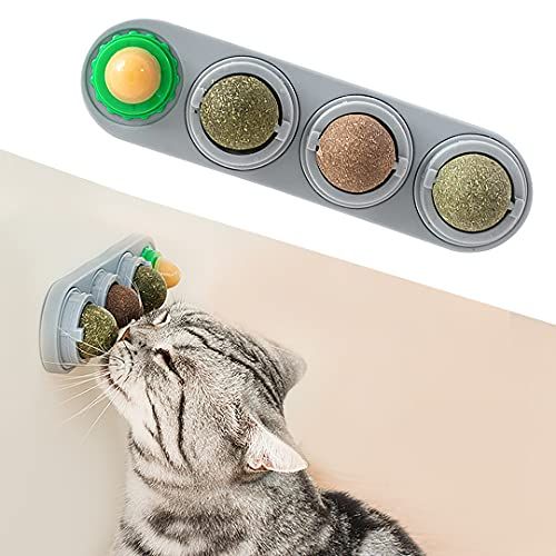 Cadosoigh Cat Toys 20 Pcs Cat Kitten Interactive Mouse Catnip Ball Toys Set for Indoor Kitty and Cats Best Gift for Cat 