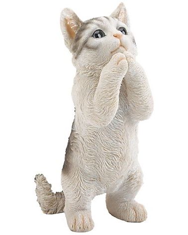 55 Best Gifts for Cat Lovers in 2023 - Unique Cat-Themed Gifts