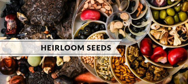 Heirloom seeds: Why you should buy them and where to find them