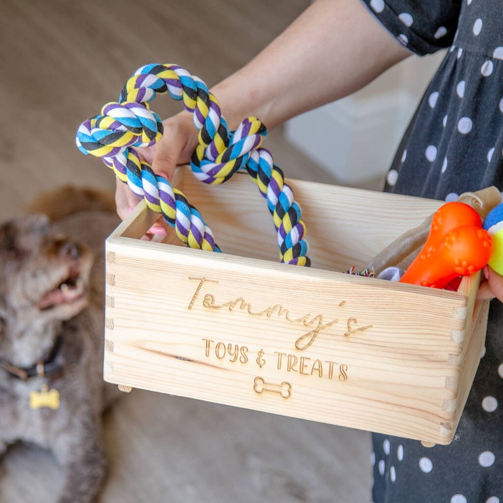 Large Custom Wooden Dog Toy Box  Pet Accessory & Toy Storage