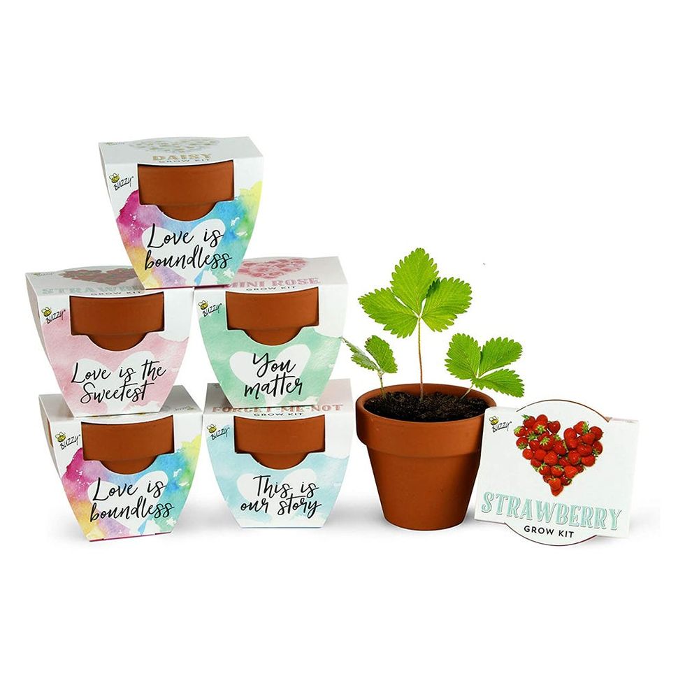 Terracotta Mini Grow Pots (6-Pack)