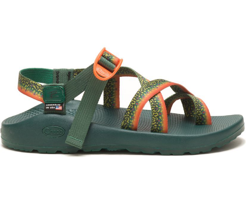 Chacos smokey the online bear