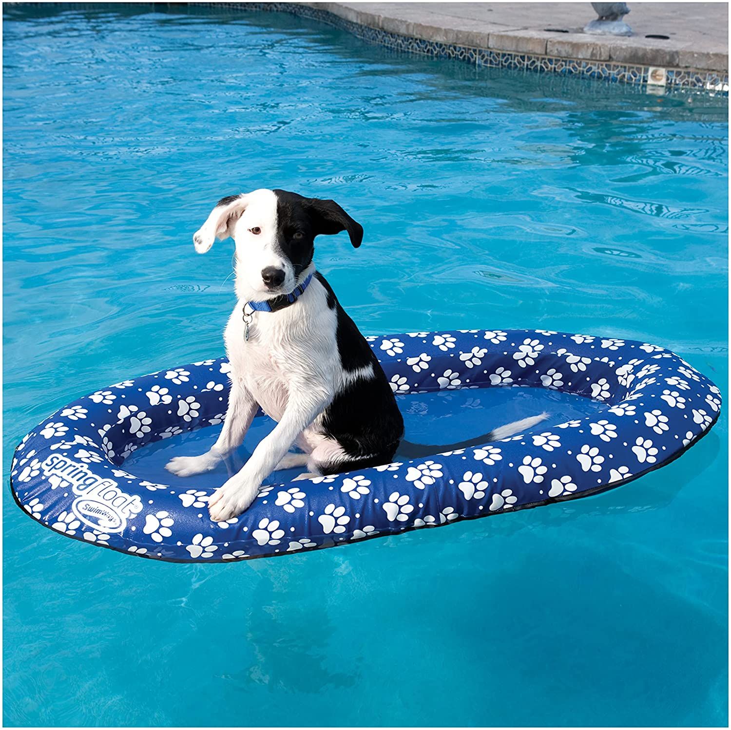 Dog pool sales float with shade