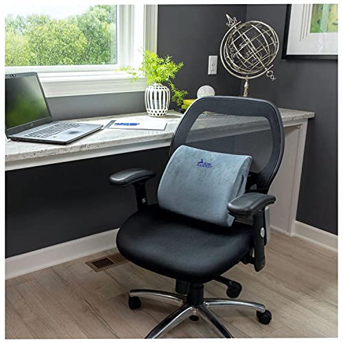 Lumbar Support Pillow for Office Chair for Lower Back Pain - Mini