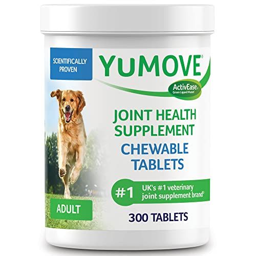 Hip and Joint Supplement for Dogs 