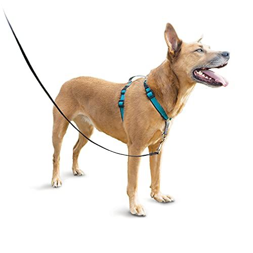 3 in 1 Dog Harness