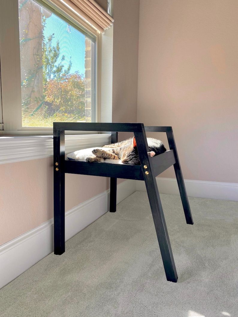 Modern cat outlet window perch