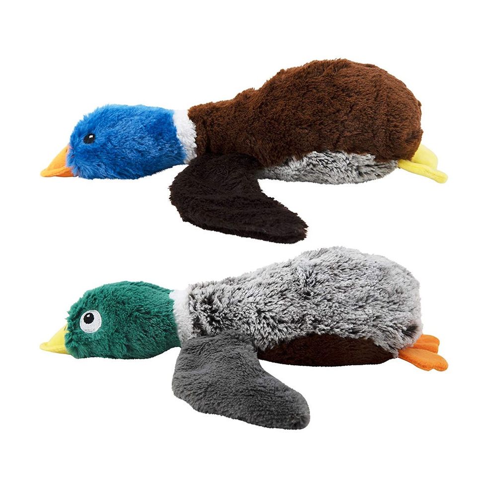 Duck Squeaky Toys