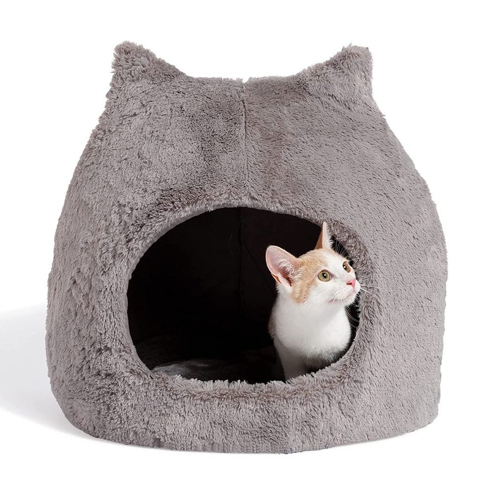 Cat Bed Dome