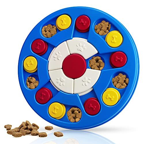Colorful Design Slow Feeder to Aid Pets Digestion