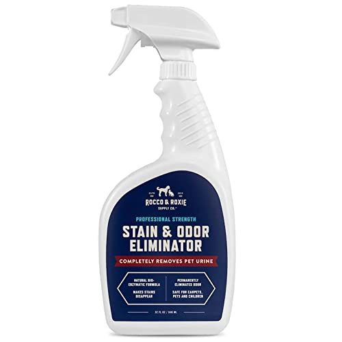 Stain & Odor Eliminator