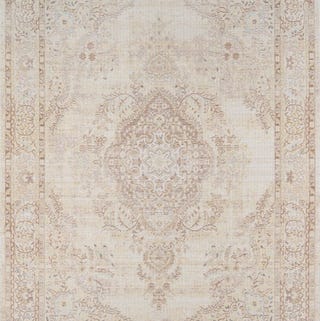  Ivory Area Rug 