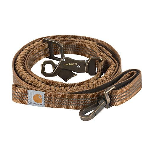 top rated dog leash