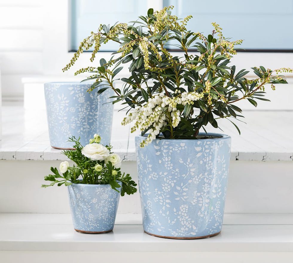 Flora Terracotta Planters