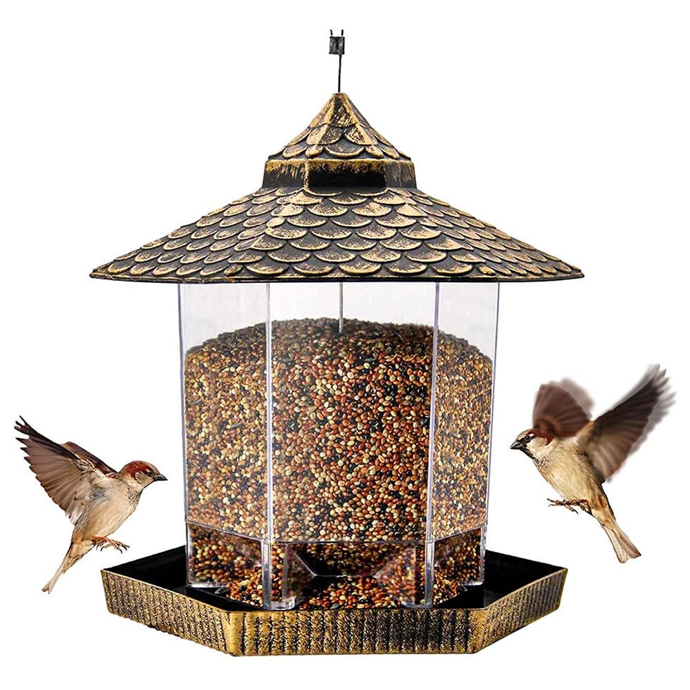 Twinkle Star Wild Bird Feeder