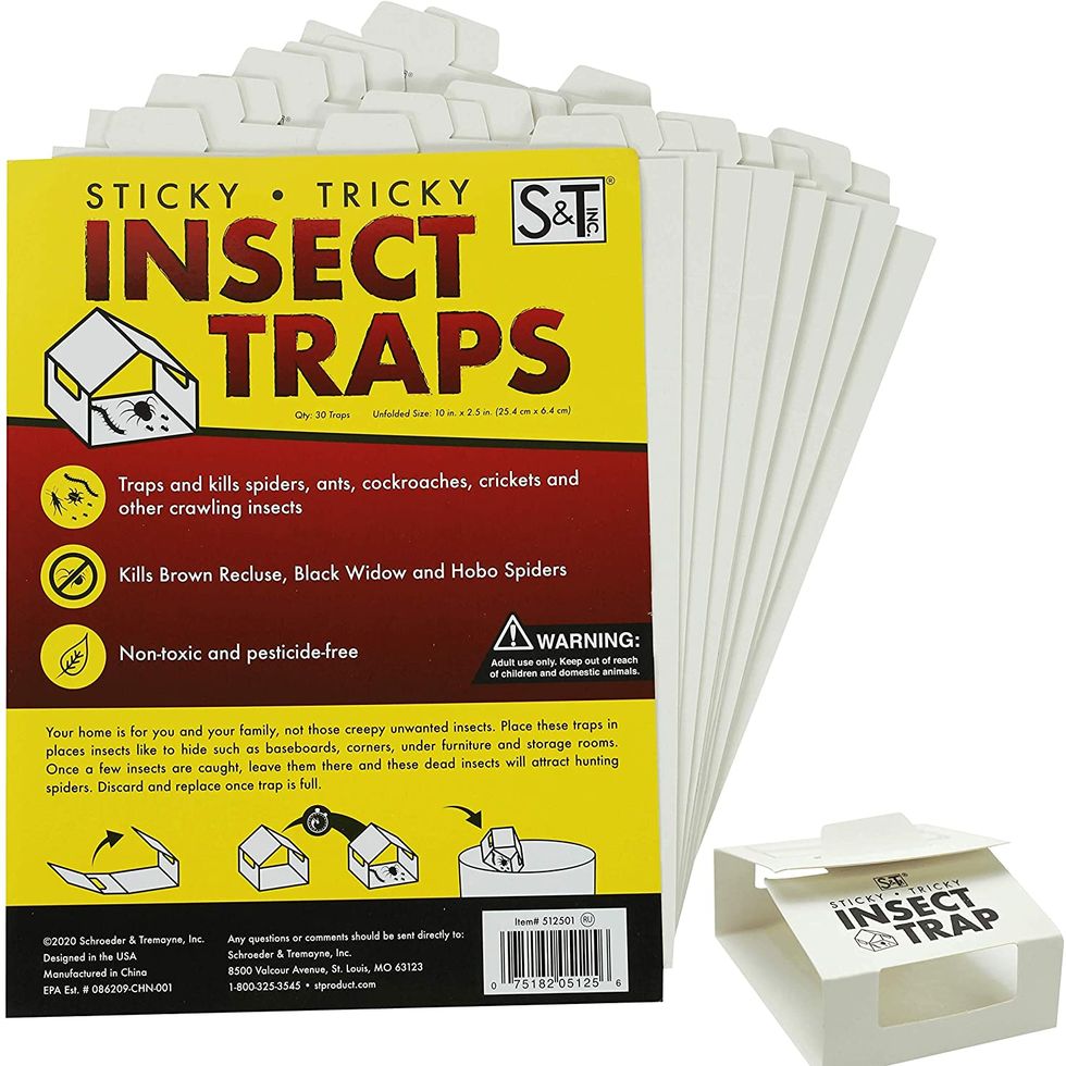 Insect Traps for Spiders