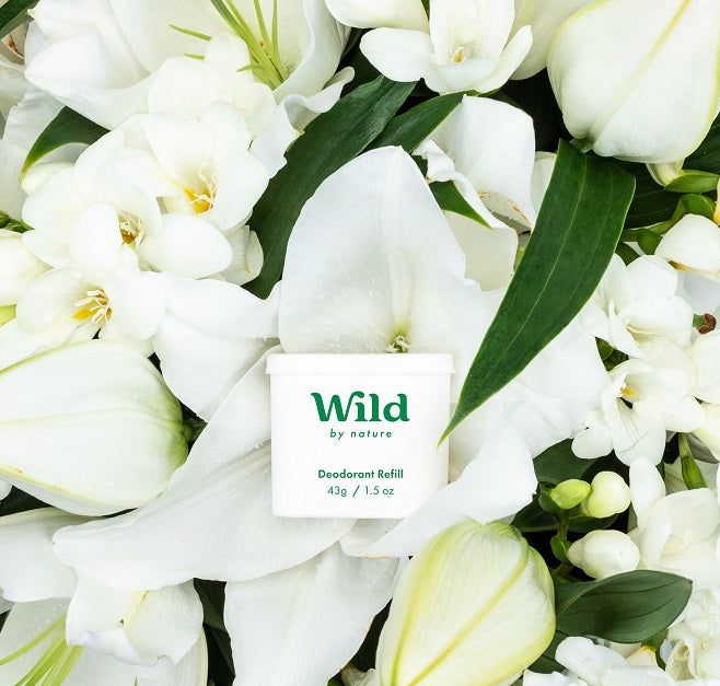Wild Lily Petal & Freesia