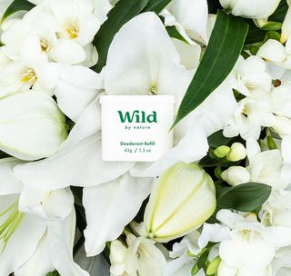 Wild Lily Petal & Freesia