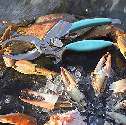12-piece Seafood Tools Set includes 2 Crab Crackers, 4 Lobster Shellers, 6  Crab Leg Forks/Picks - Nut Cracker Stainless Steel Seafood Utensils  Crackers & Forks Cracker Set 
