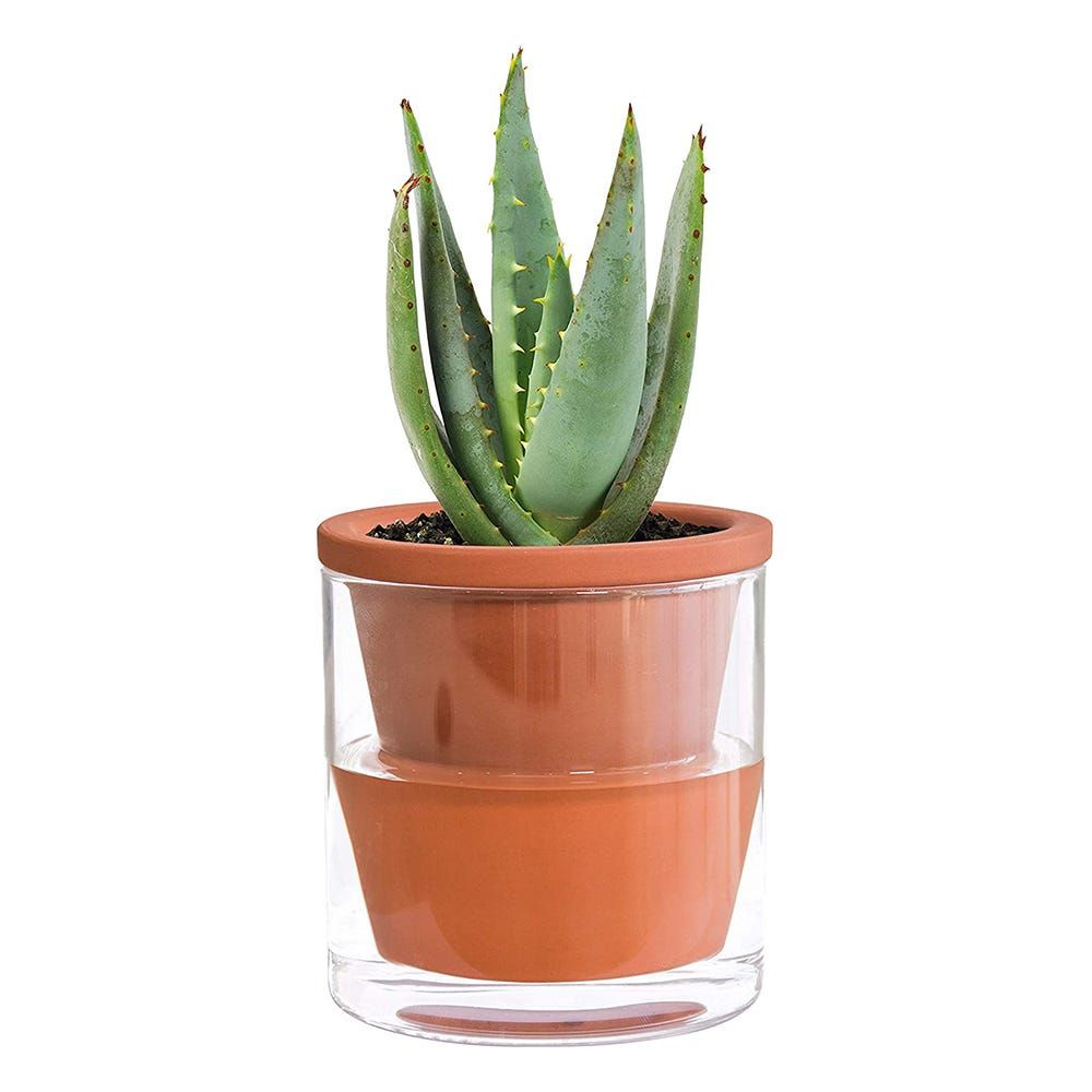 Terracotta Planter with Cylinder Glass Cup﻿ (Set of 2)