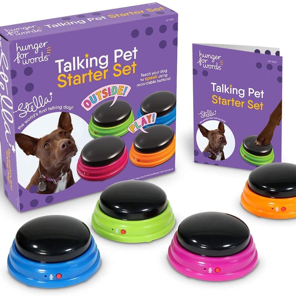 Talking Pet Starter Set 