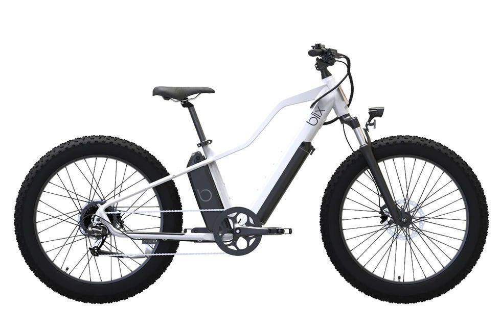 The 8 Best Fat Tire Electric Bikes in 2024 — Fat Tire E-Bikes