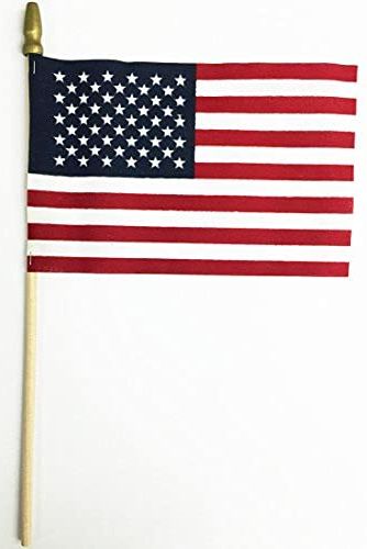 Small American Flags, Set of 12